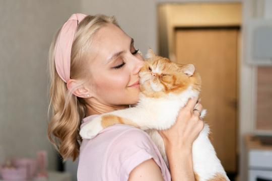 Как показать кошке свою любовь: Советы от ветеринара и владельца кошек