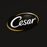 Cesar