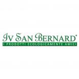 Iv San Bernard