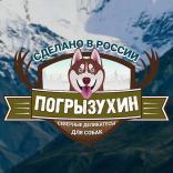 Погрызухин
