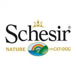 Schesir