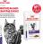 Royal Canin Neutered Balance влажный корм для стерилизованных кошек, склонных к набору веса, мелкие кусочки в соусе