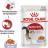 Royal Canin влажный корм для взрослых кошек, здоровье МКБ и контроль веса, в желе  
