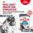 Royal Canin Urinary Care влажный корм для кошек, для поддержания здоровья мочевыделительной системы, мелкие кусочки в соусе