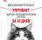 Royal Canin Urinary Care влажный корм для кошек, для поддержания здоровья мочевыделительной системы, мелкие кусочки в соусе