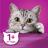 Whiskas влажный корм для кошек, желе с курицей