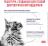 Royal Canin Neutered Balance влажный корм для стерилизованных кошек, склонных к набору веса, мелкие кусочки в соусе