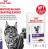 Royal Canin Neutered Balance влажный корм для стерилизованных кошек, склонных к набору веса, мелкие кусочки в соусе