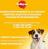 Pedigree влажный корм для собак с говядиной и ягненком