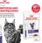 Royal Canin Neutered Balance влажный корм для стерилизованных кошек, склонных к набору веса, мелкие кусочки в соусе