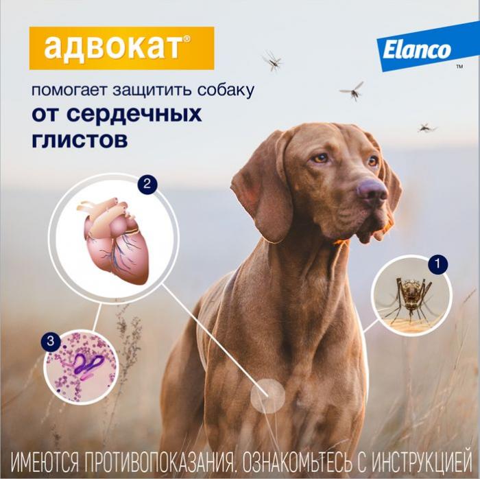 Elanco Адвокат капли для щенков и собак более 25 кг, от клещей, блох и гельминтов