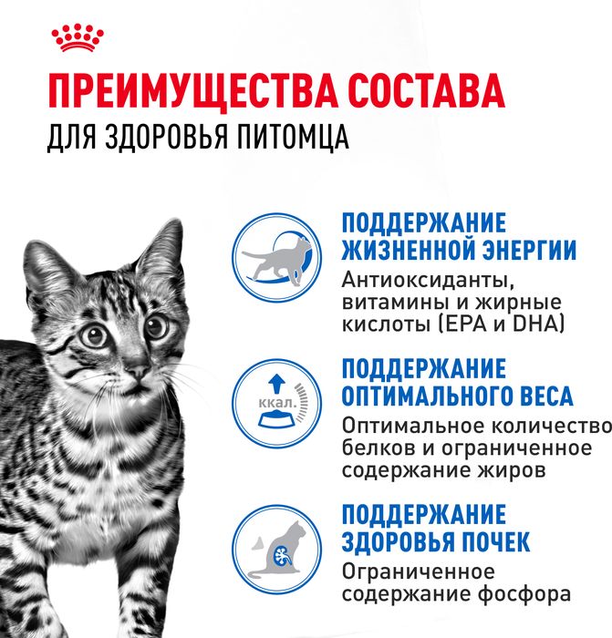 Royal Canin Indoor влажный корм для стерилизованных пожилых кошек, кусочки в желе