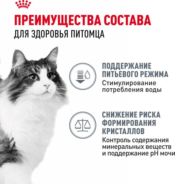 Royal Canin Urinary Care влажный корм для кошек, для поддержания здоровья мочевыделительной системы, мелкие кусочки в соусе