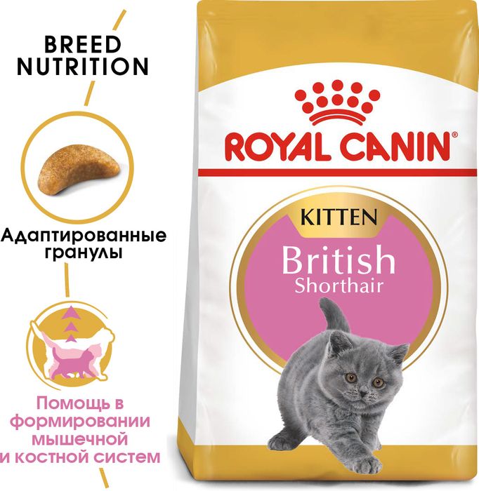 Royal Canin Kitten British Shorthair сухой корм для британских котят