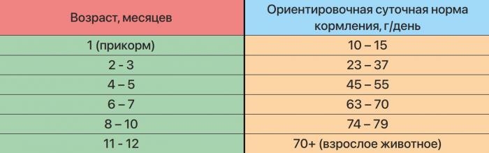 Zillii Kitten корм для котят, индейка с ягнёнком