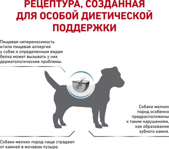 Royal Canin Hypoallergenic Small Dog лечебный корм для собак мелких пород с пищевой аллергией или непереносимостью