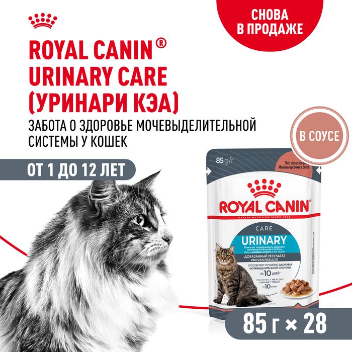 Royal Canin Urinary Care влажный корм для кошек, для поддержания здоровья мочевыделительной системы, мелкие кусочки в соусе