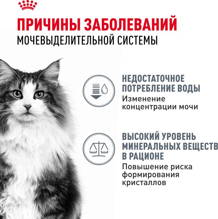 Royal Canin Urinary Care влажный корм для кошек, для поддержания здоровья мочевыделительной системы, мелкие кусочки в соусе