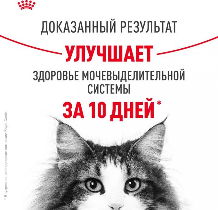 Royal Canin Urinary Care влажный корм для кошек, для поддержания здоровья мочевыделительной системы, мелкие кусочки в соусе