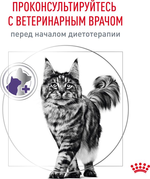 Royal Canin Neutered Balance влажный корм для стерилизованных кошек, склонных к набору веса, мелкие кусочки в соусе