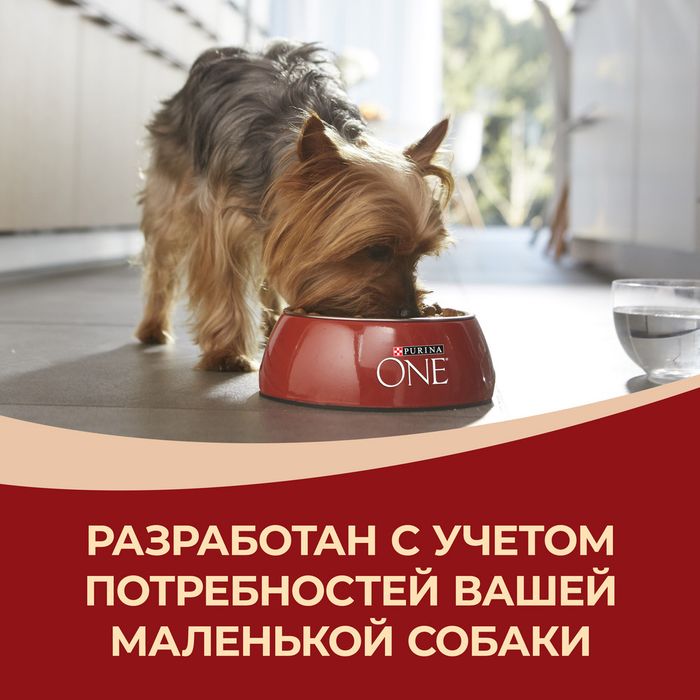 Сухой корм Purina ONE® МИНИ Здоровый вес для собак мелких пород, склонных к набору веса, с высоким содержанием индейки и с рисом