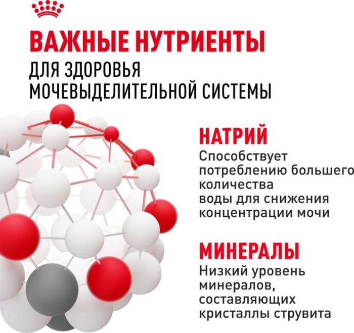 Royal Canin Urinary Care влажный корм для кошек, для поддержания здоровья мочевыделительной системы, мелкие кусочки в соусе