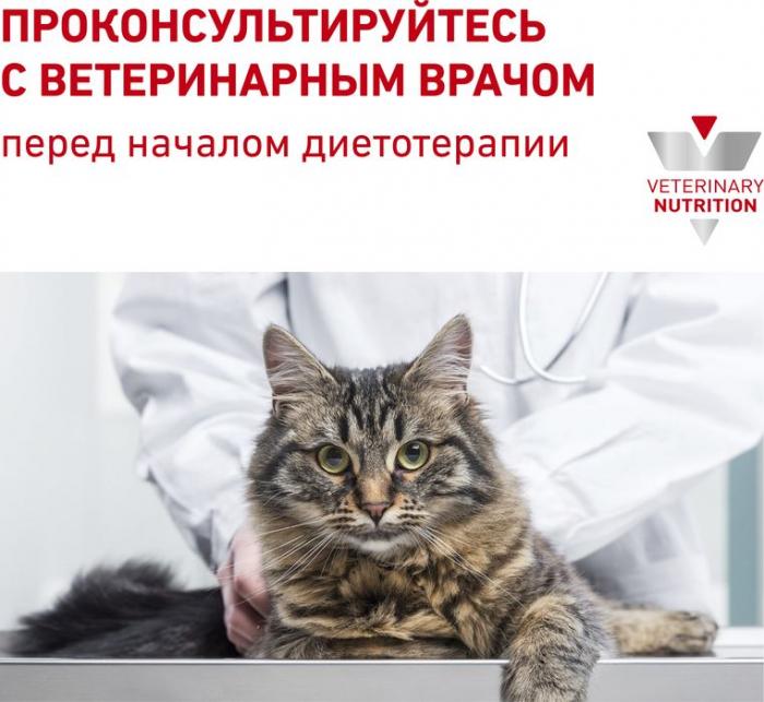 Royal Canin Renal лечебный корм для кошек при хронической почечной недостаточности с курицей