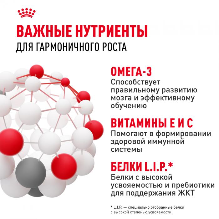 Royal Canin корм для щенков малых пород