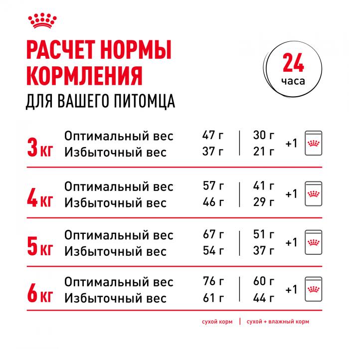 Royal Canin влажный корм для стерилизованных взрослых кошек всех пород, кусочки в желе